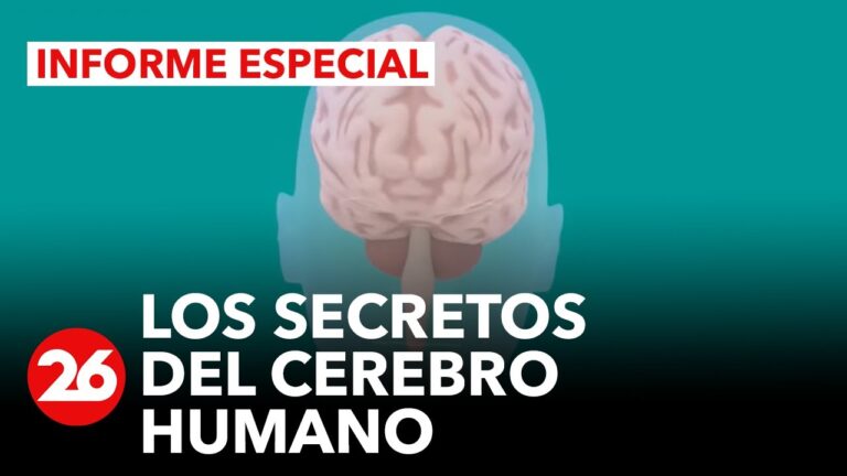 Funcionamiento del Sistema de Salud en Pravia