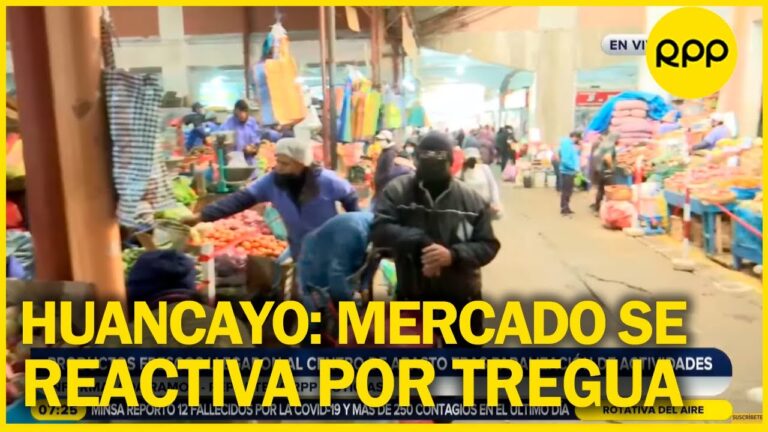 Leyes de Tr&aacute;fico en Candamo: Todo lo que Debes Saber