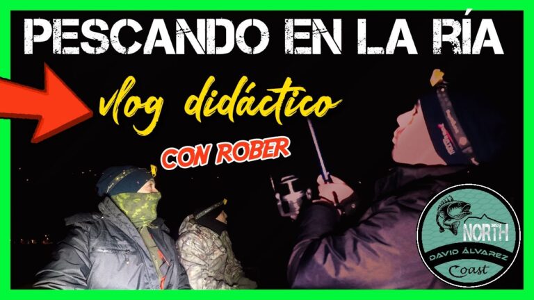 Mejores lugares para practicar pesca cerca de Avilés