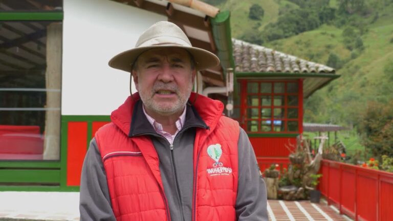 Zonas con Mayor Densidad de Árboles en Castrillón