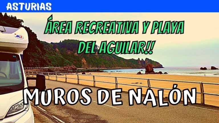 Zonas Comerciales en Muros de Nal&oacute;n: Gu&iacute;a Completa