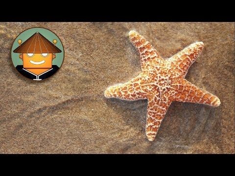 Actividades Acu&aacute;ticas en Pravia: Mejores Opciones y Destinos